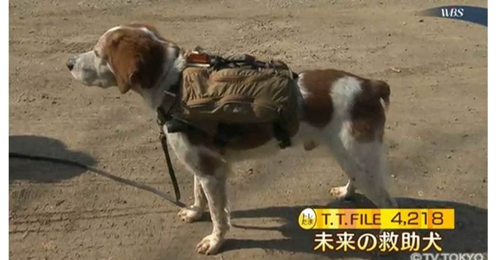 【トレたま】北村まあさアナを狙った広報戦略と消毒液のモノマネ