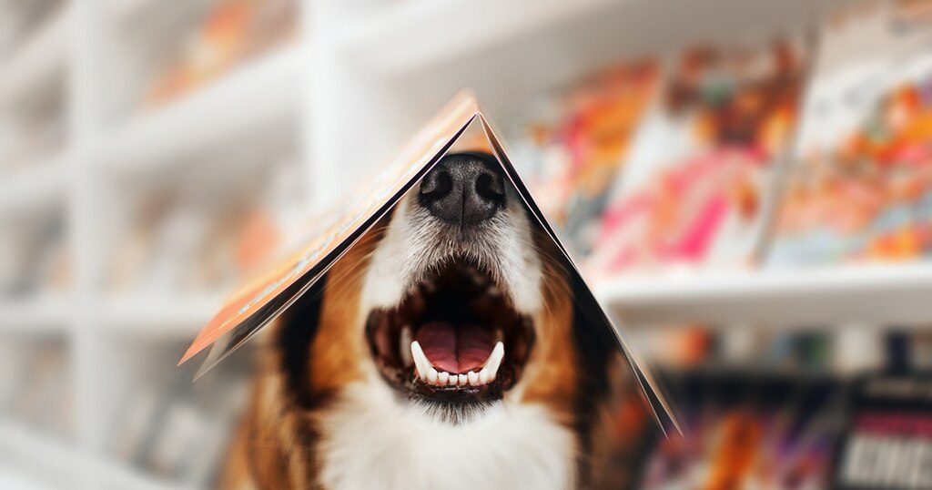 2022年4-6月期 雑誌印刷部数を可視化する